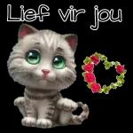 Love and Slaams