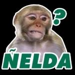ÑELDA
