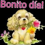 gloria