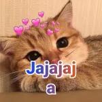 me gustas