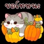 พรุ่งนี้ค่อยลด😬