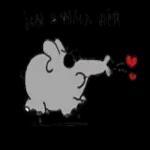 Niedlicher Elefant😍😍