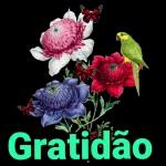 Gratidão Sempre
