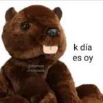 monos lokos