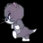 pocoyo