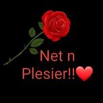 plesier