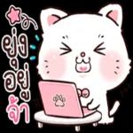 รับ
ทราบ