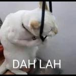 rilek lu sapkok lu