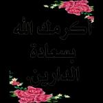 ببببببببببب