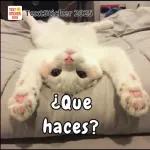GRACIAS!