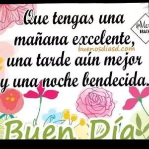 buenosdiasd.com Me BRACH Que tengas una mañana excelente, una tarde aún mejor y una noche bendecida. Buen Día - getsticker.com