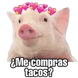 gracias por tu amistad