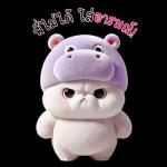 แมวฮิปโปสุดน่ารัก : คุยกันทุกวัน(BIG)