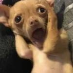 👉🏻👈🏻😦