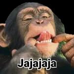 Jerry