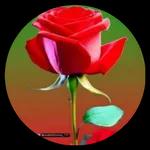                              Kisses 🫦TOP STICKERS