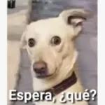memes_de_perr...