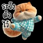 แมวขี้โมโหในชุดนอนสีอ่อน