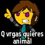 Q vrgas quieres animal