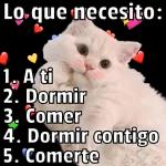 Stickers de gatos