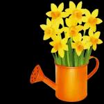 Guten Morgen mein Freunde