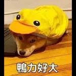 Qué se sentirá ser feo?