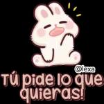 🎀🐰Andy, Conejo🐰🎀 2