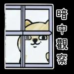 萌宠sticker 02262🥰