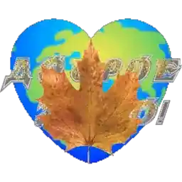 для настроения 🍁🍁💖