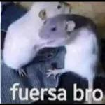 fuersa bro