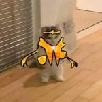 undertale cats