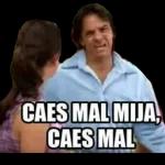 La cerveza me renueva la vida