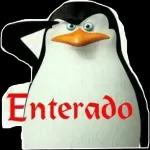 Enterado