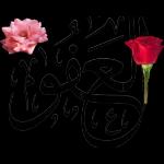 ۷۷، 43 .، الشفوي الله صل عاد والمال