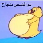 تم الشحن بنجاح