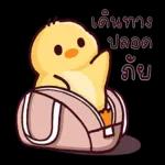 มอร์นิ่งจ้า☀️☀️☀️