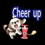 西施迪迪 (日常生活及問候篇)