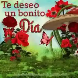 Feliz martes