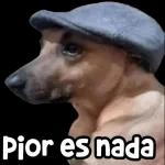 Primero q nada buenos días