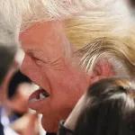 Trump Faces
                            stickers ecospace