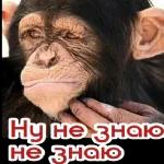 Все по палатам отбой