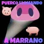 CALMAOS HIJOS DE PUTA!!!