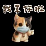 花貓超可愛諧音梗