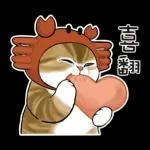 鯊魚貓咪 2
