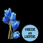 God is my anker. As jy God het, het jy alles