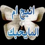 نی المايحبك after