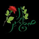 صباح الخير