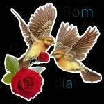 Andreia