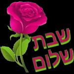 שבת שלום