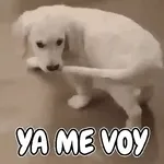 Animado 6